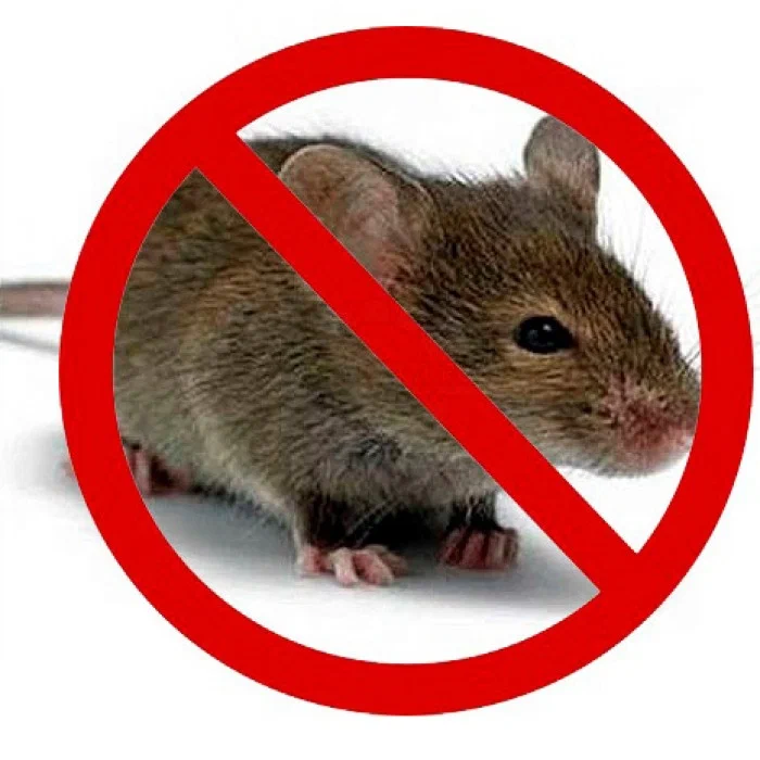Control de Roedores